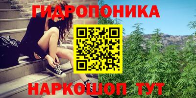 винт Лесосибирск