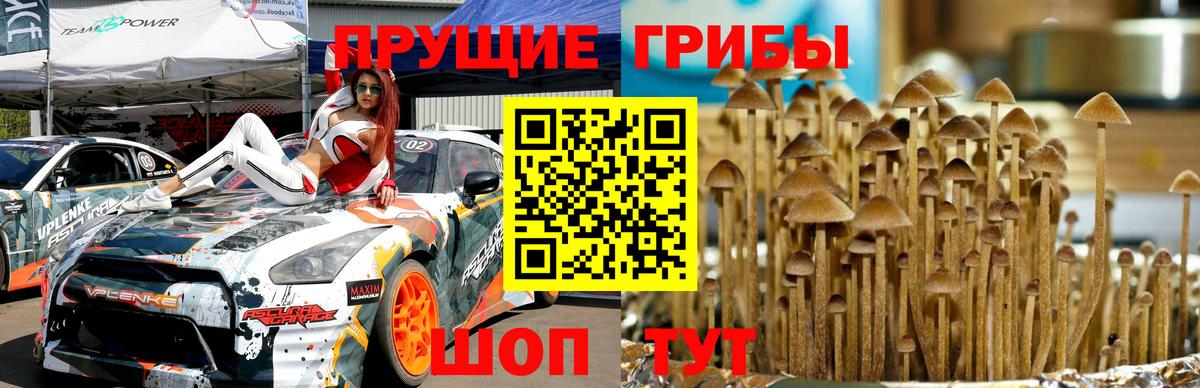 Псилоцибиновые грибы прущие грибы Усинск